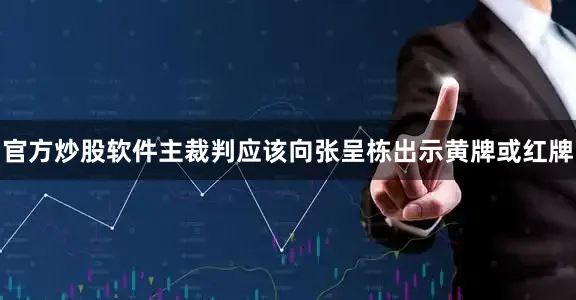 官方炒股软件主裁判应该向张呈栋出示黄牌或红牌